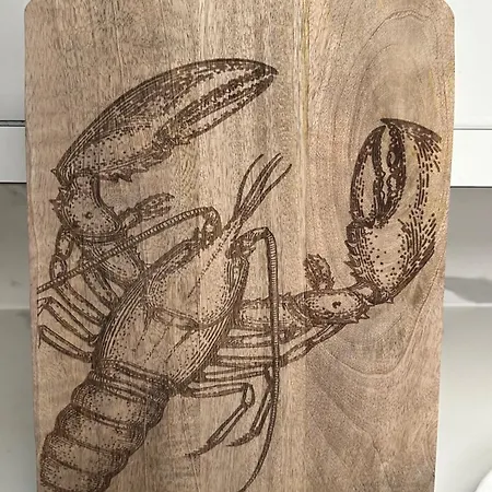 Aquareve-location 船屋